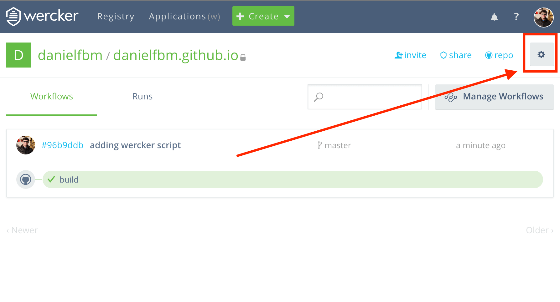 Wercker app settings